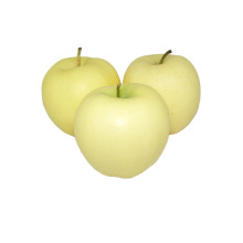 China fresh golden delicious apple